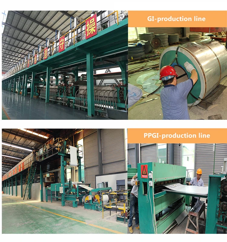 Prepainted Steel Coils/PPGI Galvanized Steel Coil/Color Coated Steel Coil